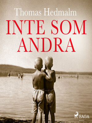 cover image of Inte som andra